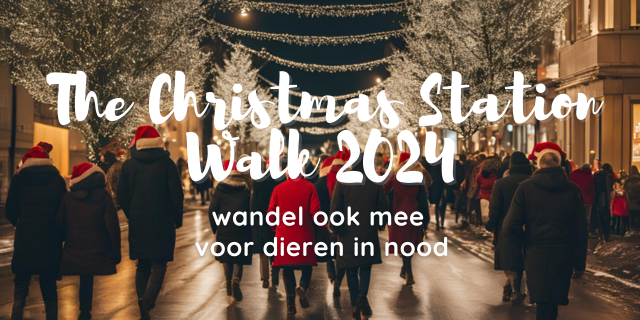 Trek je stoute (wandel)schoenen aan en loop mee!